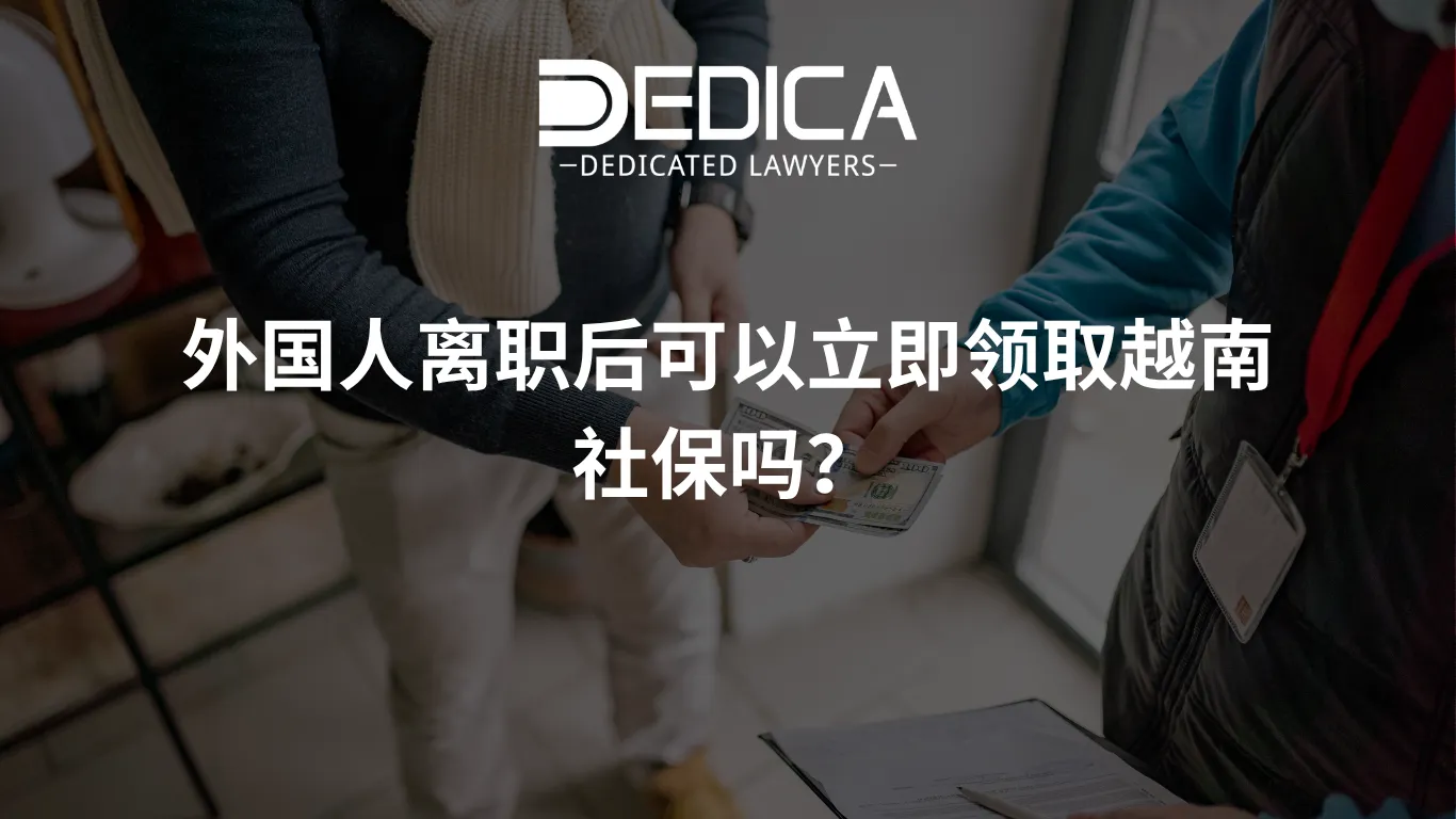 ảnh website dedica - 2026-04-10T153456.585.webp