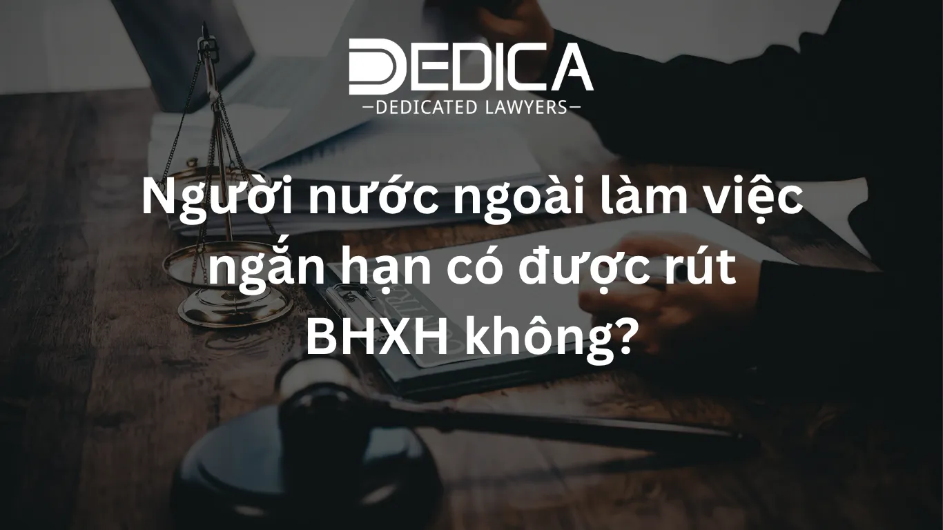 ảnh website dedica - 2026-04-10T155225.530.webp