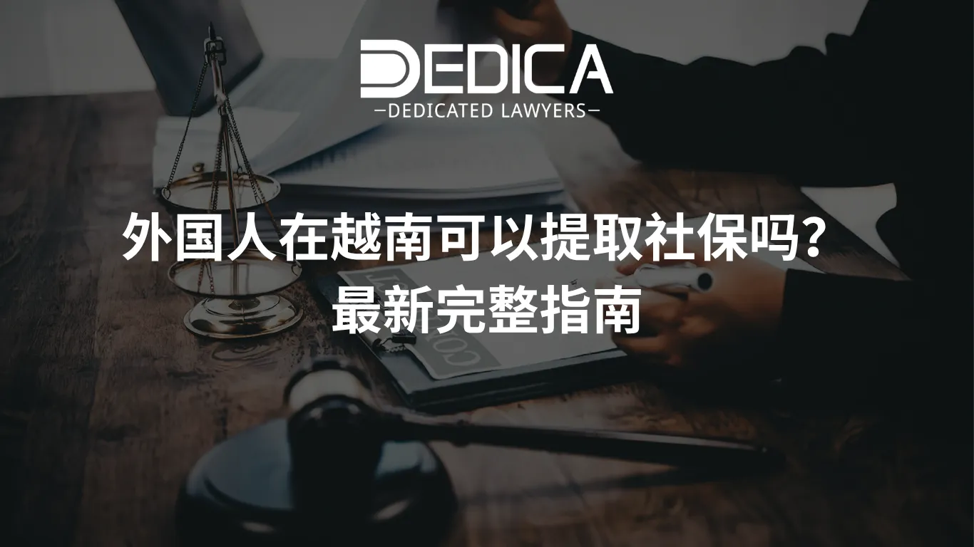 ảnh website dedica - 2026-04-10T161811.536.webp