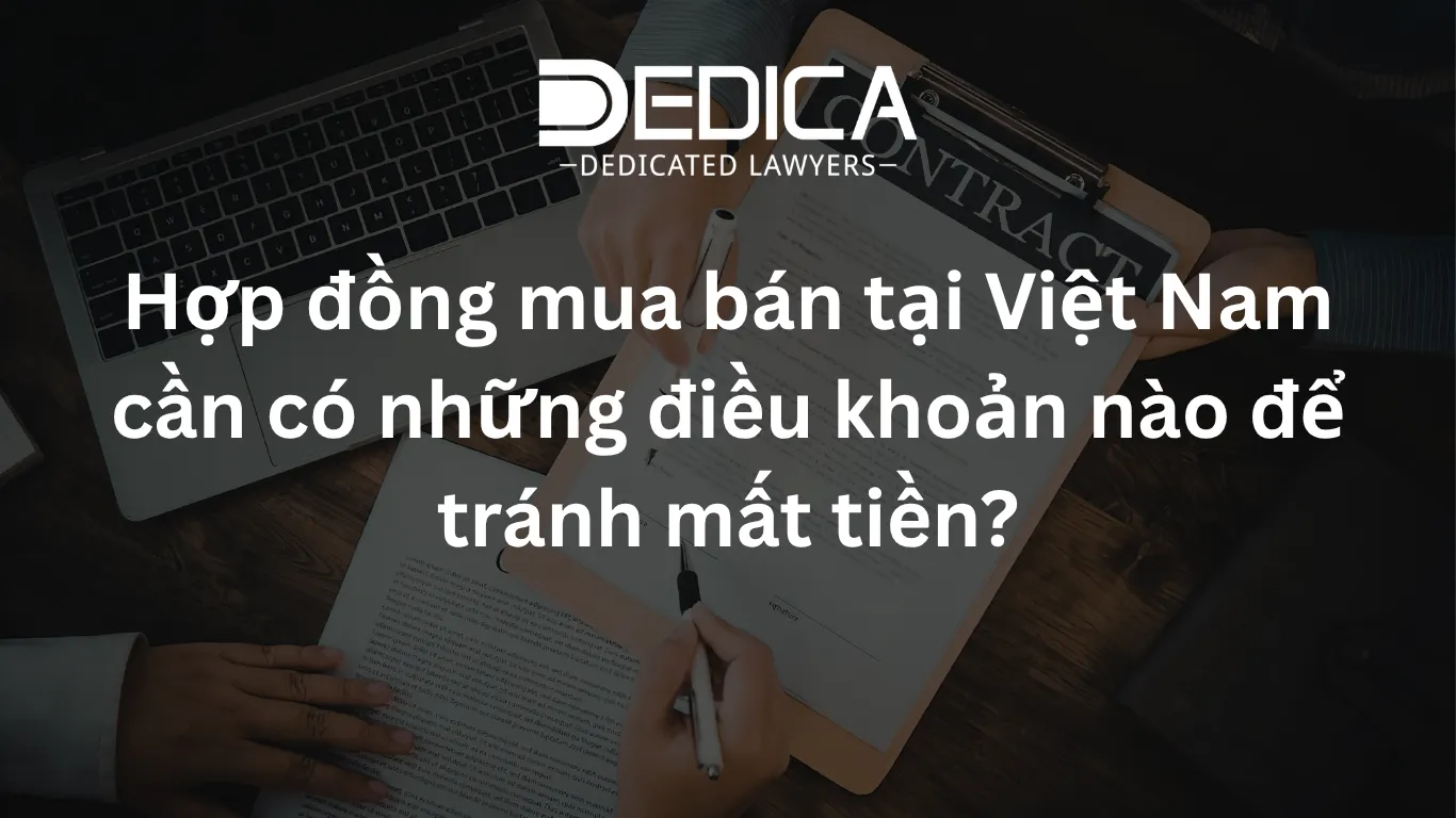 ảnh website dedica - 2026-04-13T160550.873.webp