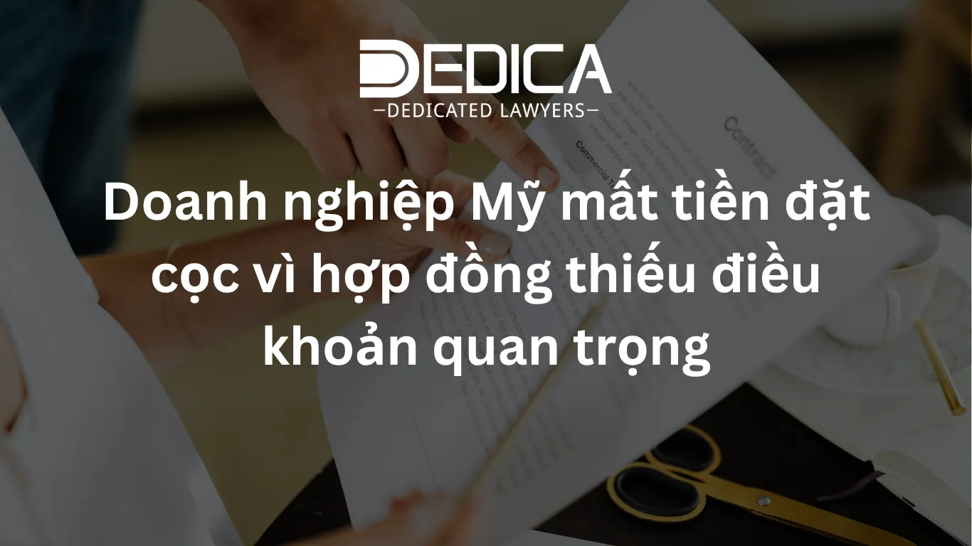 ảnh website dedica - 2026-04-14T135509.733.webp