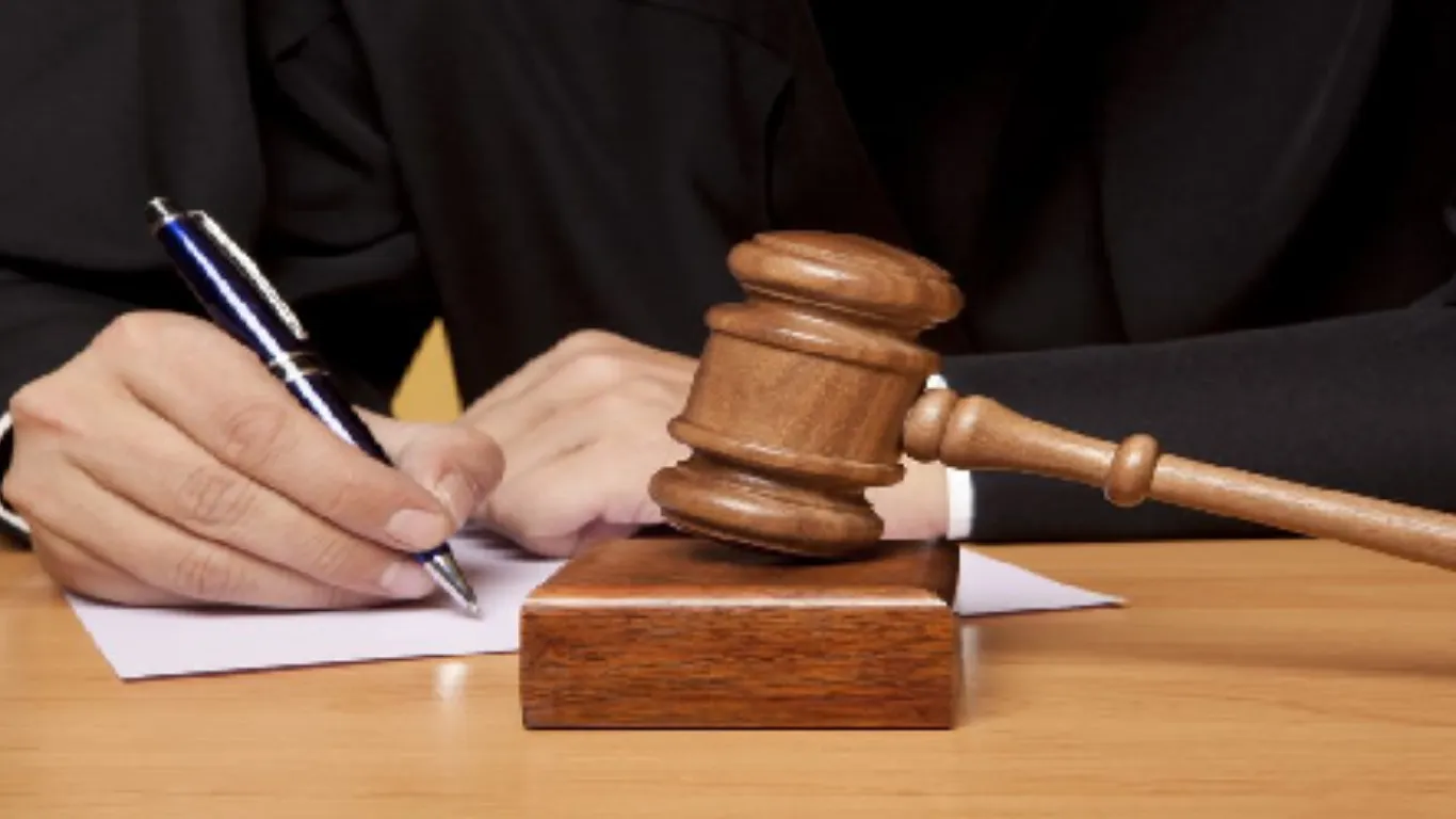 ảnh website Q (1).webp