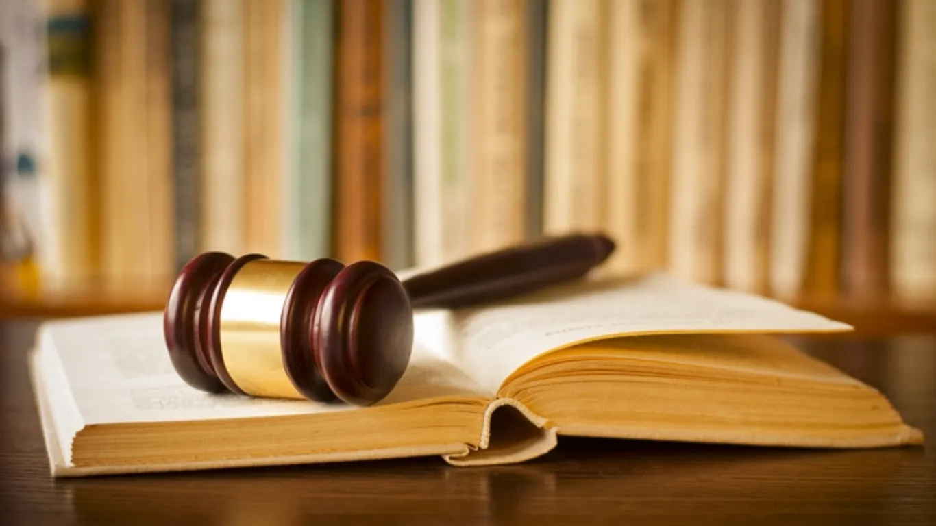 ảnh website Q (2).webp