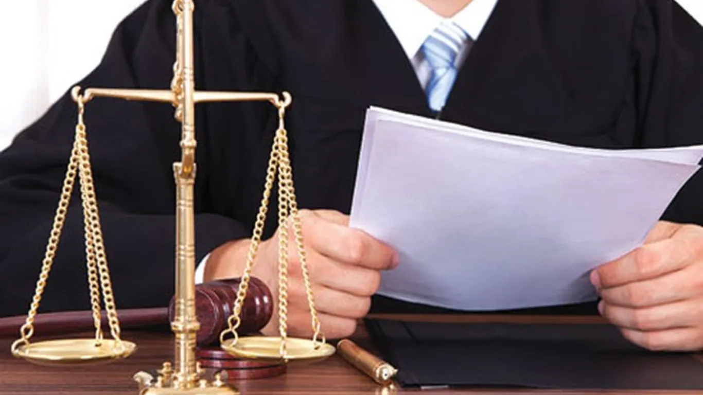 ảnh website Q (1).webp