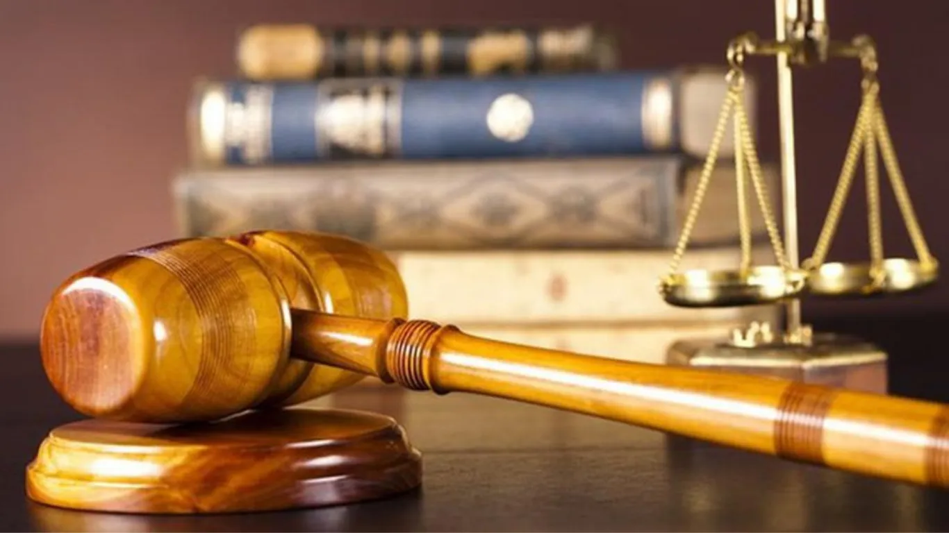 ảnh website Q (1).webp