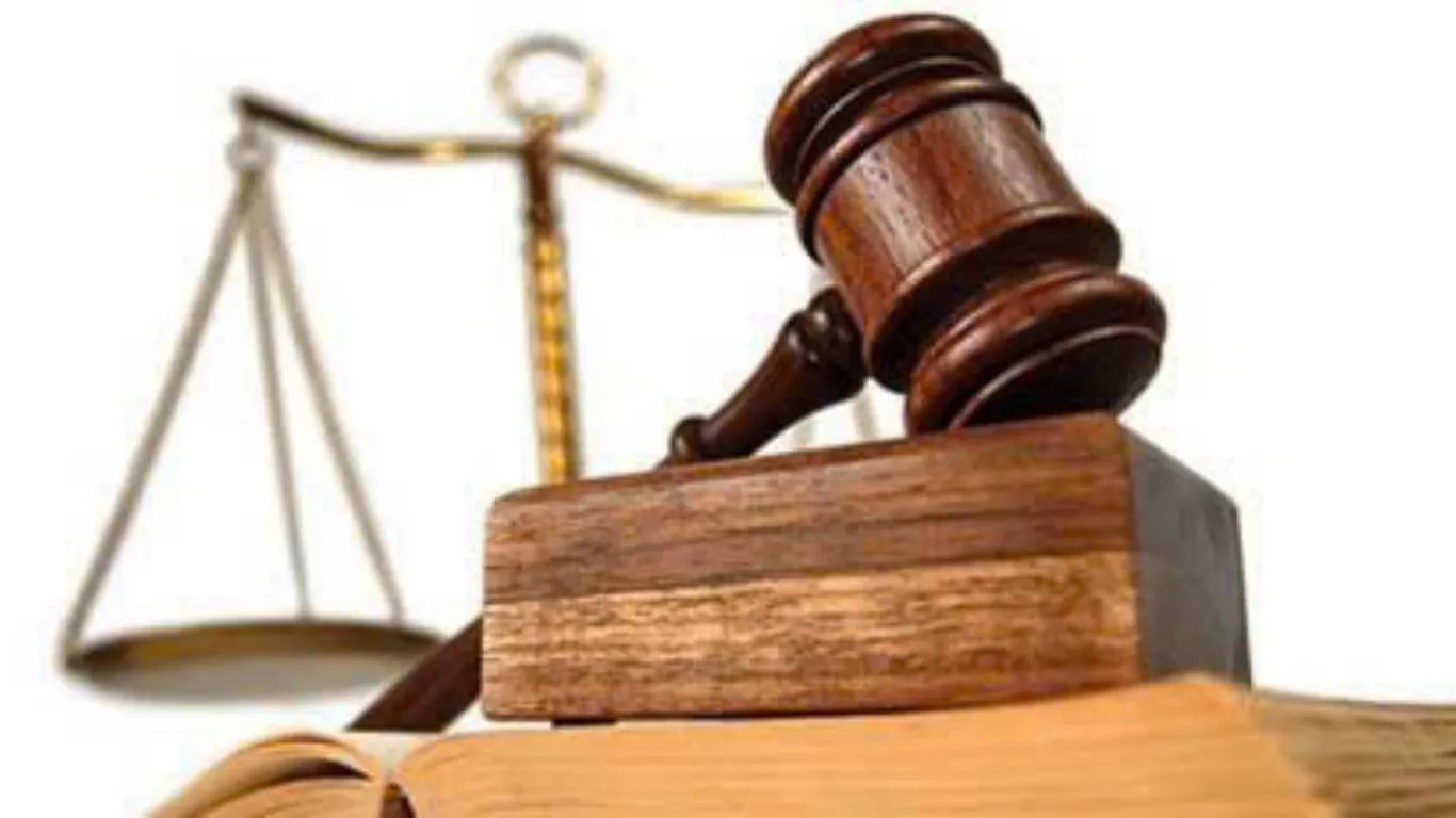 ảnh website Q (1).webp