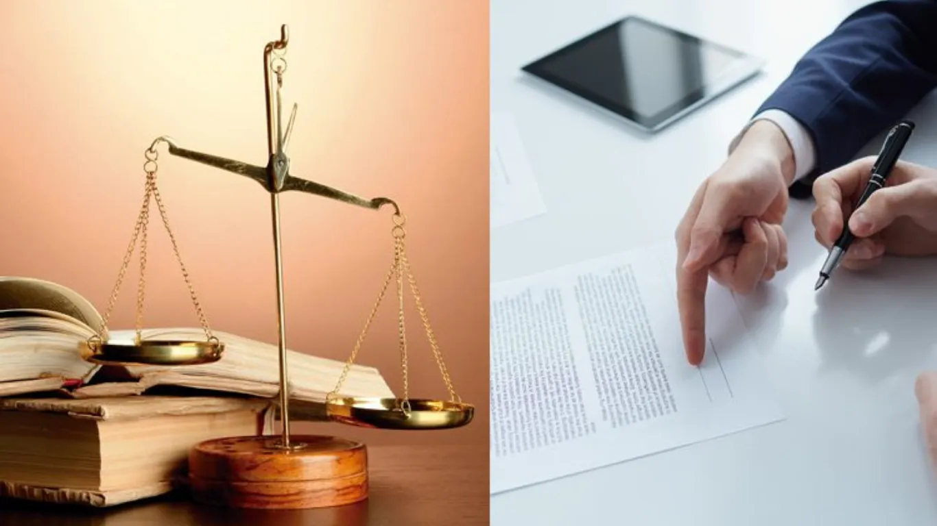 ảnh website Q (1).webp