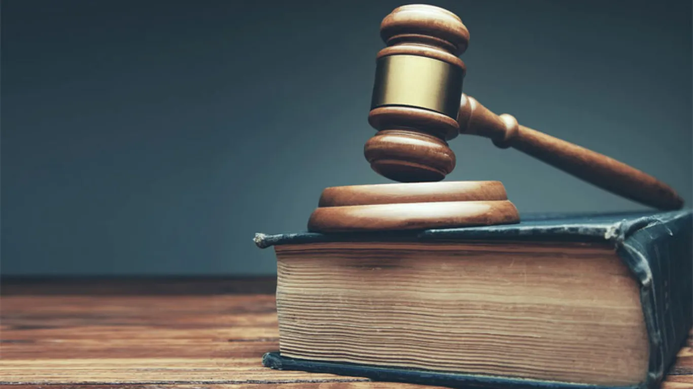 ảnh website Q (1).webp