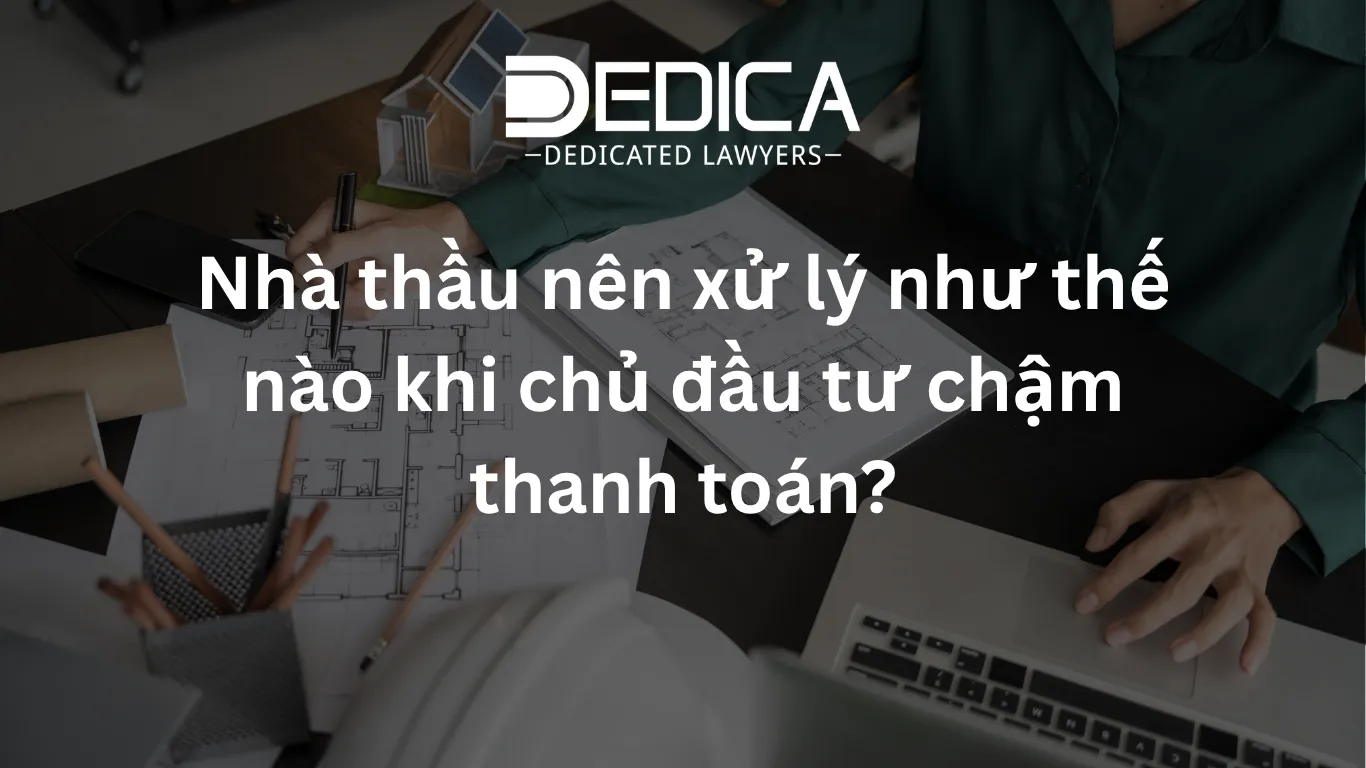 ảnh website dedica - 2026-04-22T112947.934.webp