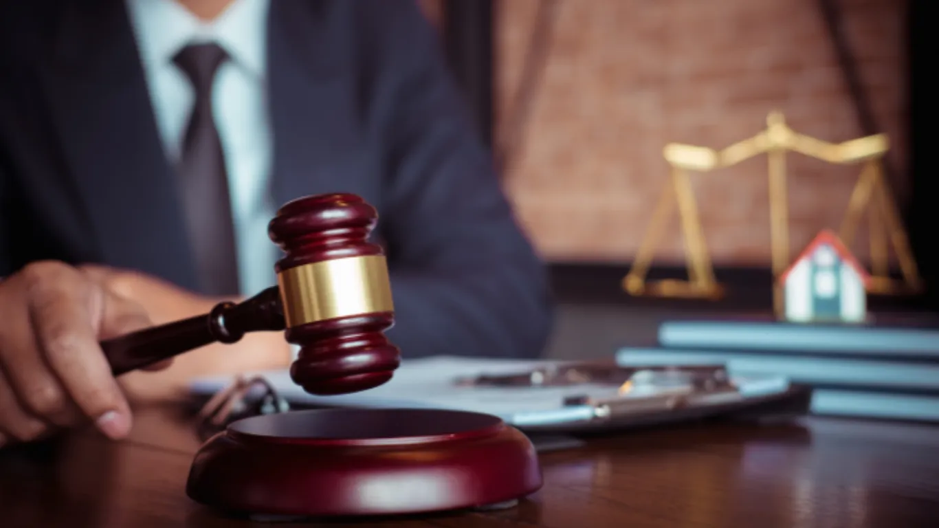 ảnh website Q (1).webp