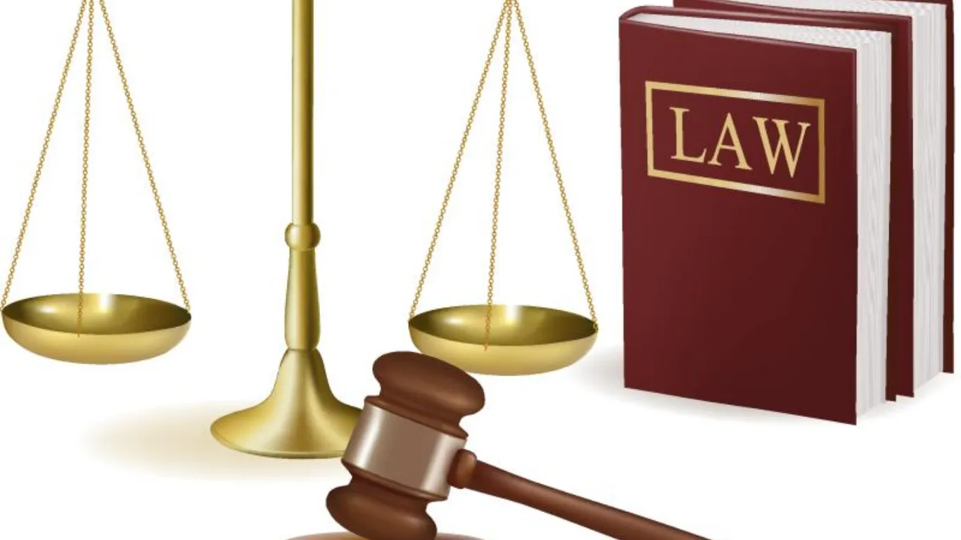 ảnh website Q (1).webp