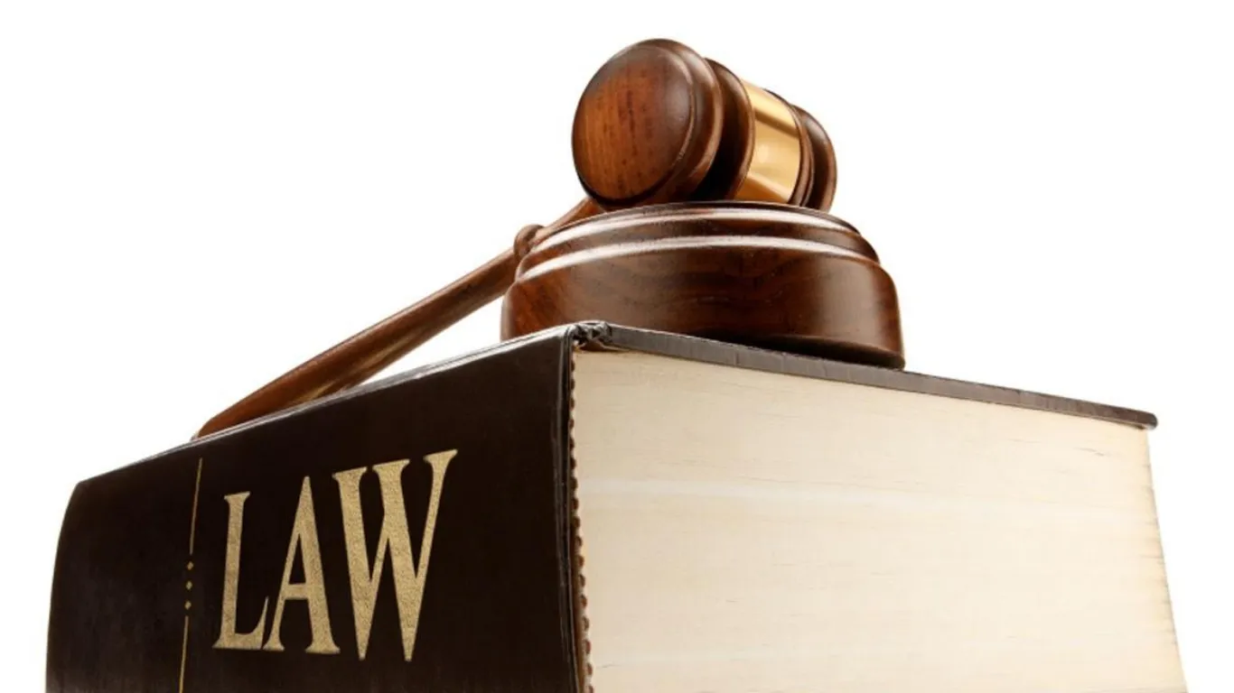 ảnh website Q (4).webp