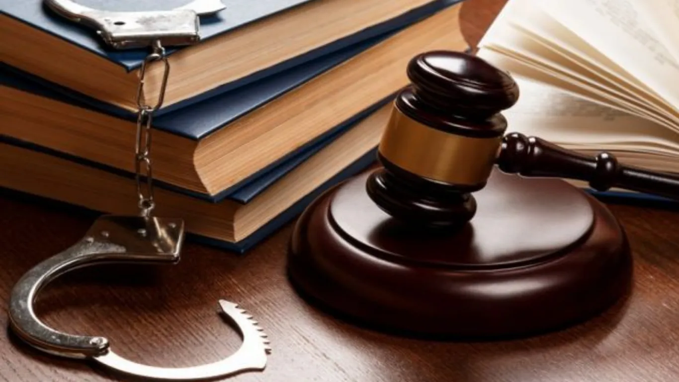 ảnh website Q.webp