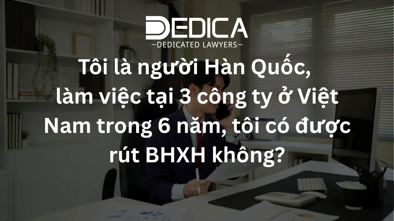 ảnh website dedica - 2026-05-04T114528.186.webp
