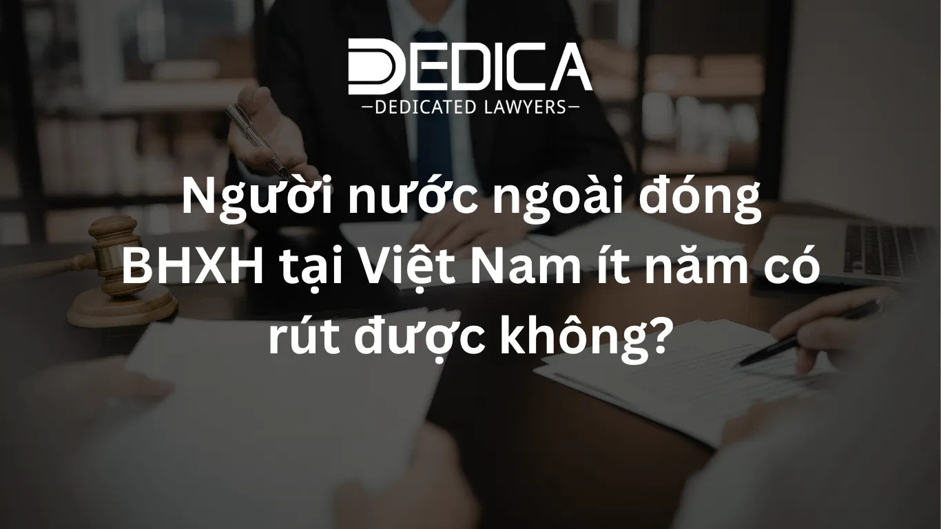 ảnh website dedica - 2026-05-04T161620.229.webp