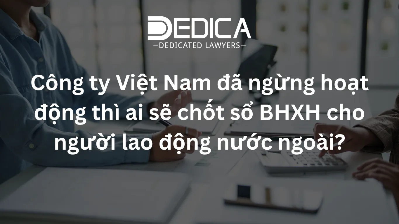 ảnh website dedica - 2026-05-05T154532.511.webp