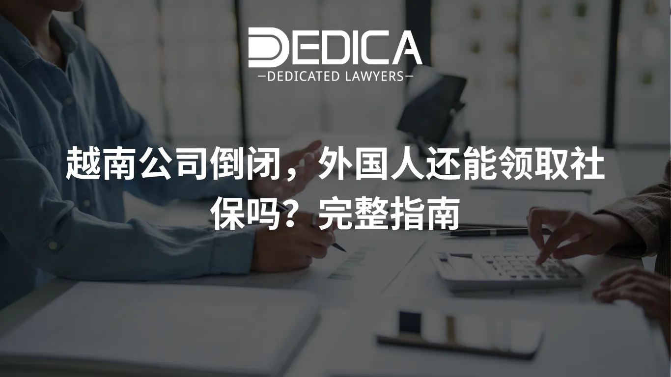ảnh website dedica - 2026-05-05T155858.722.webp
