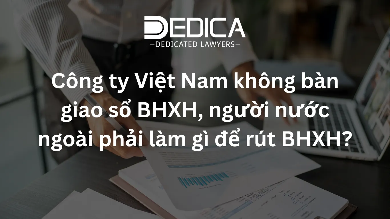 ảnh website dedica - 2026-05-05T161910.015.webp