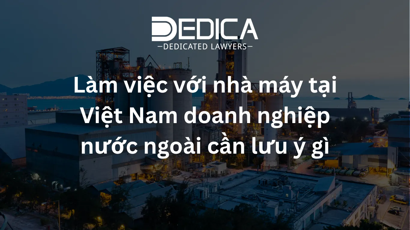 ảnh website dedica - 2026-05-12T100450.713.webp