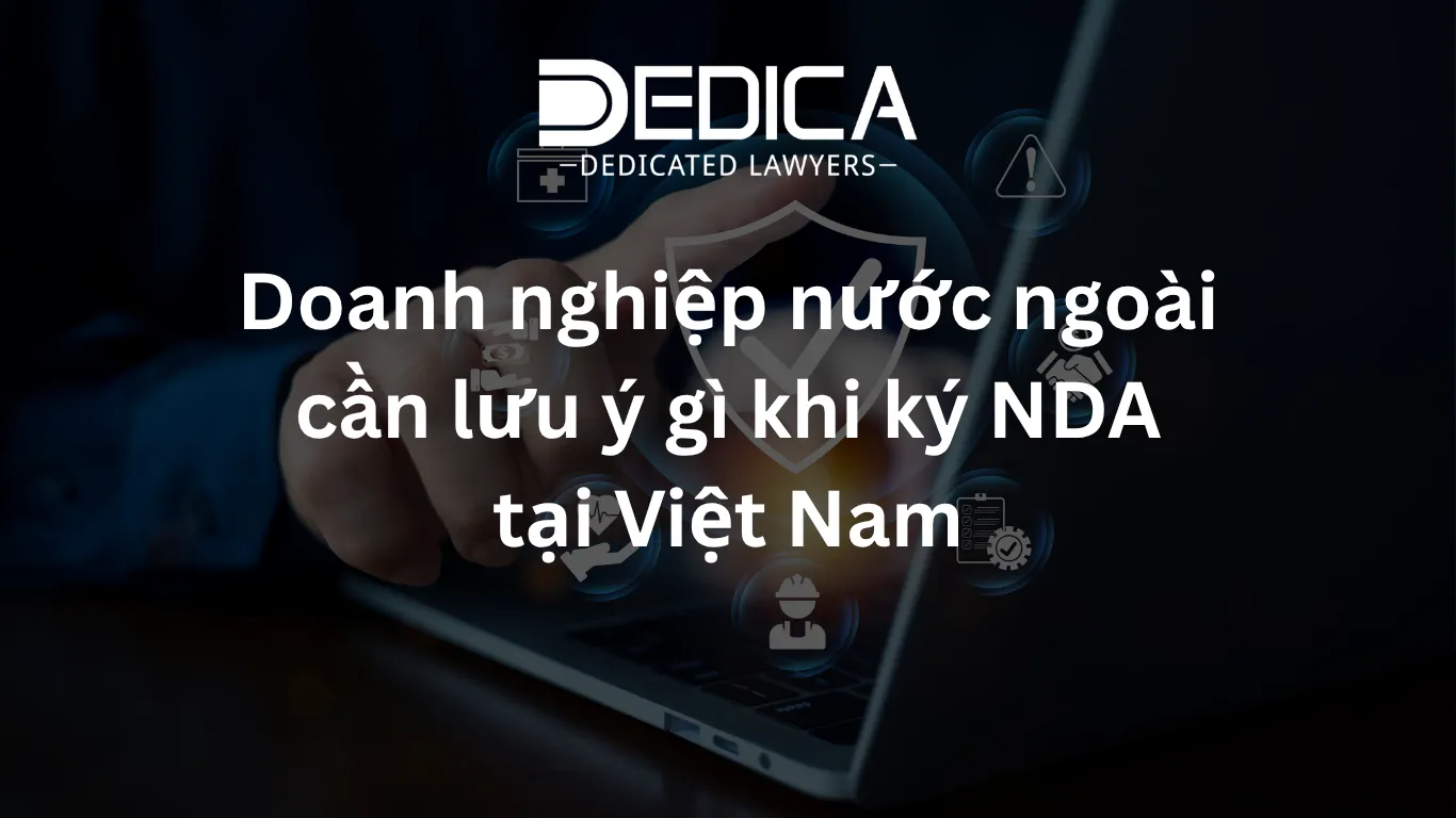 ảnh website dedica - 2026-05-12T141542.509.webp