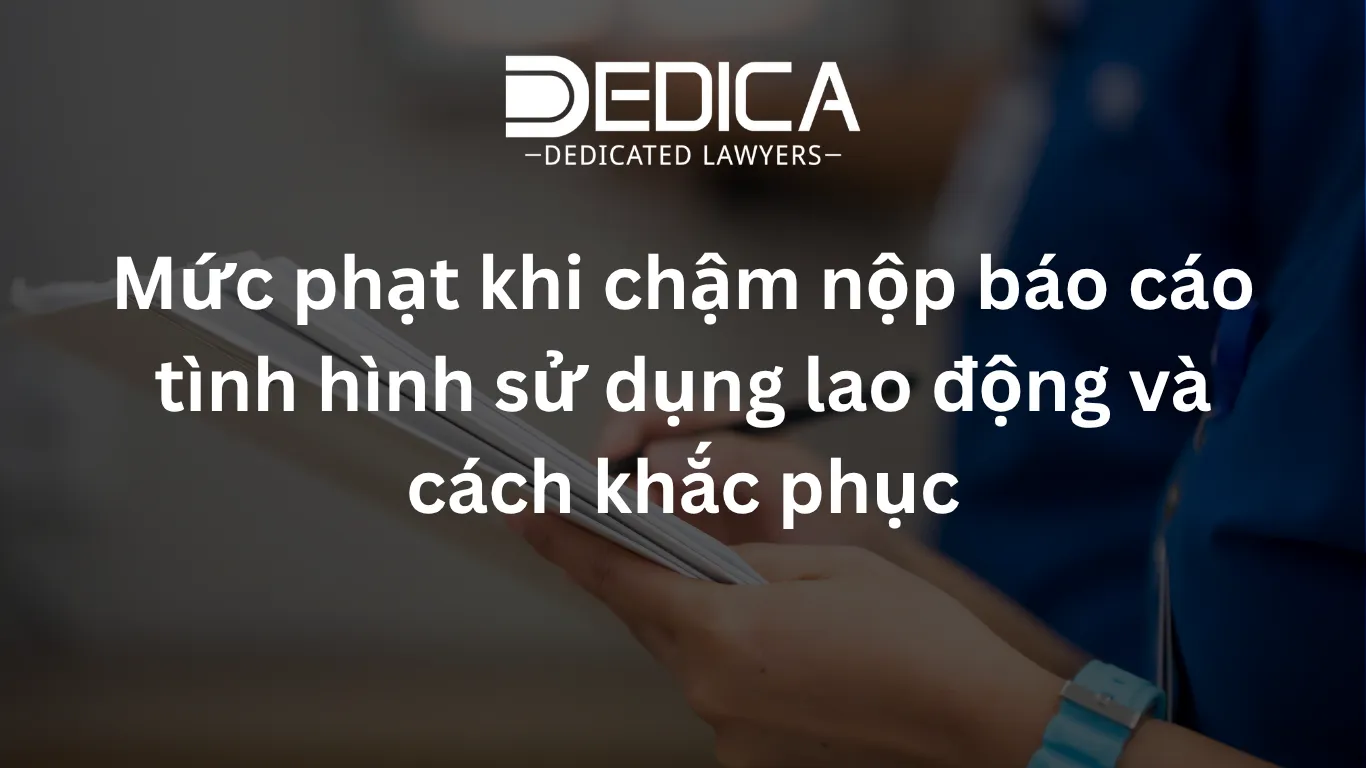 ảnh website dedica - 2026-05-19T095205.414.webp