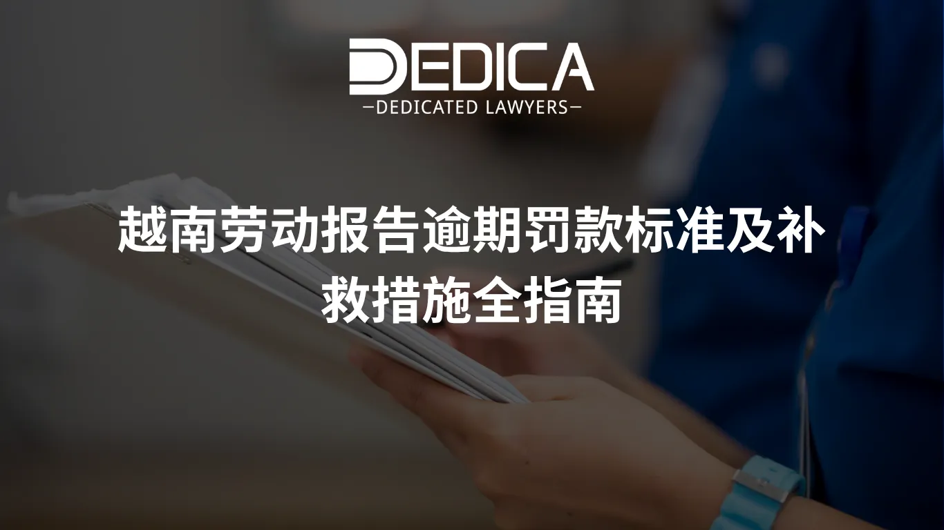 ảnh website dedica - 2026-05-19T103548.787.webp