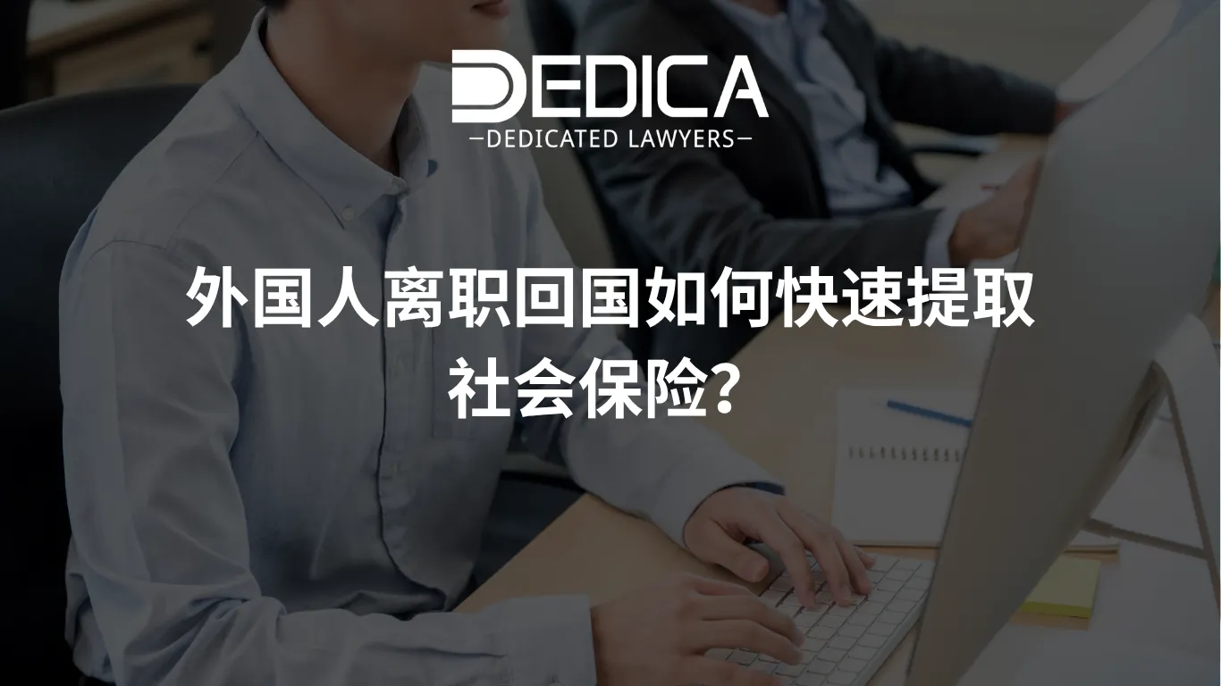 ảnh website dedica - 2026-05-20T103225.808.webp