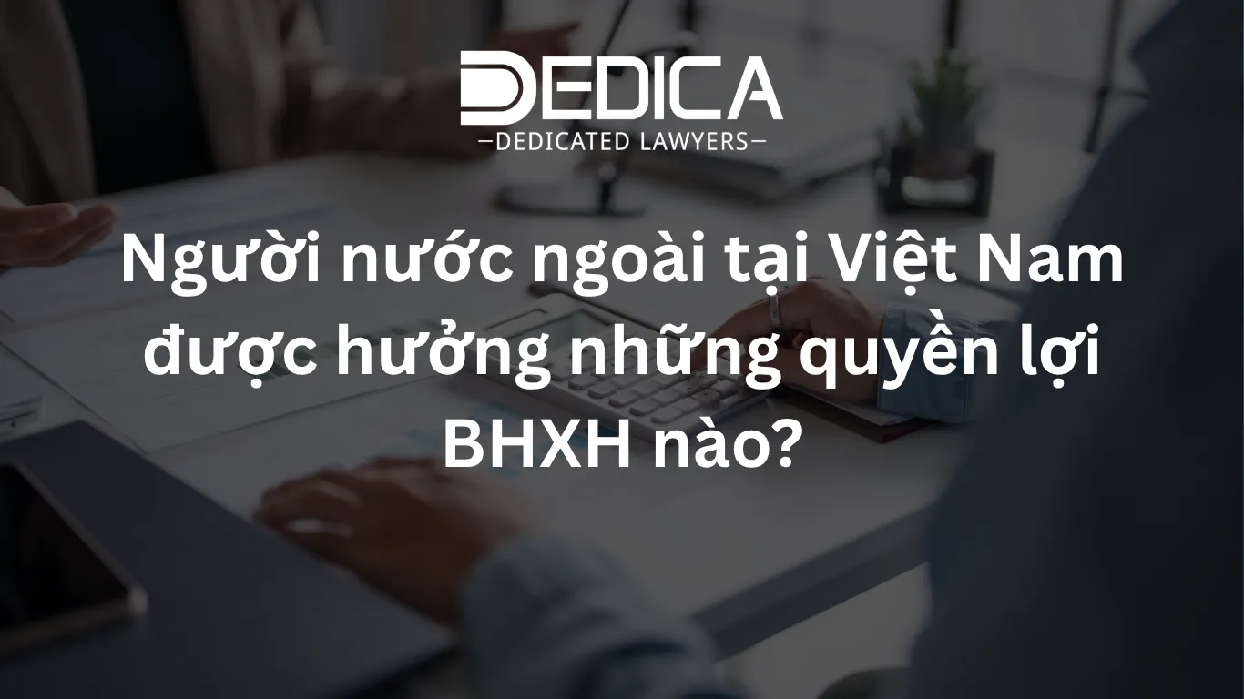 ảnh website dedica - 2026-05-20T111536.753.webp
