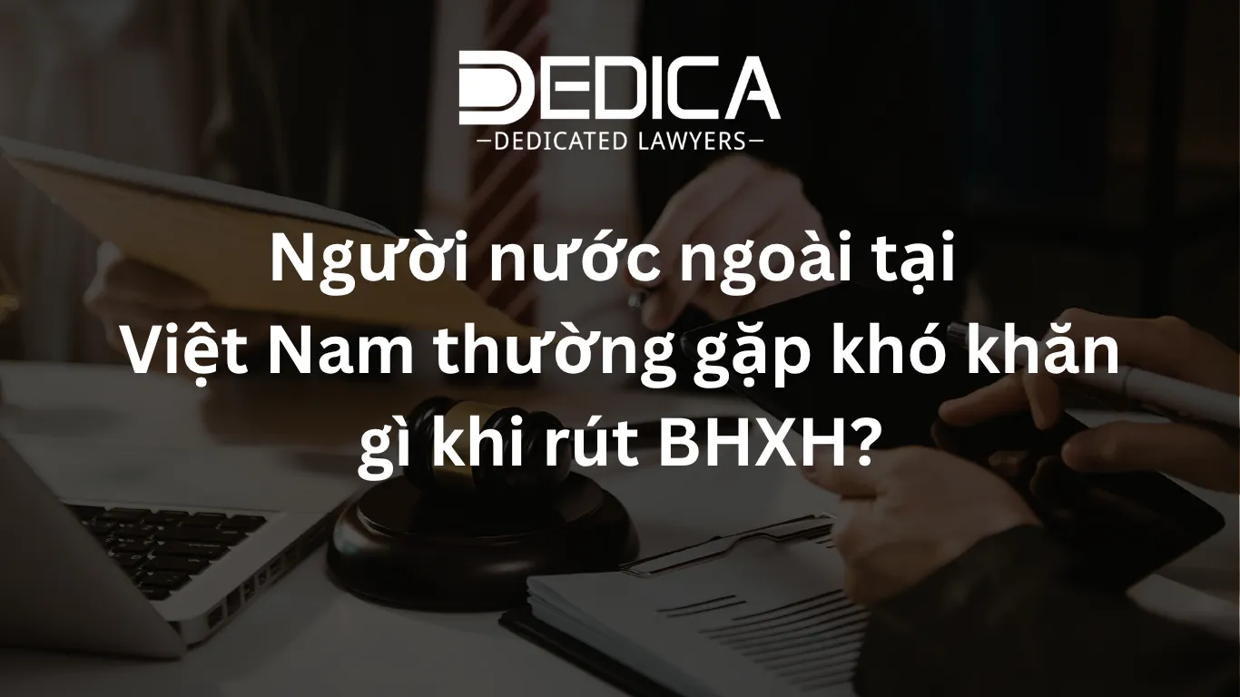 ảnh website dedica - 2026-05-26T114035.850.webp