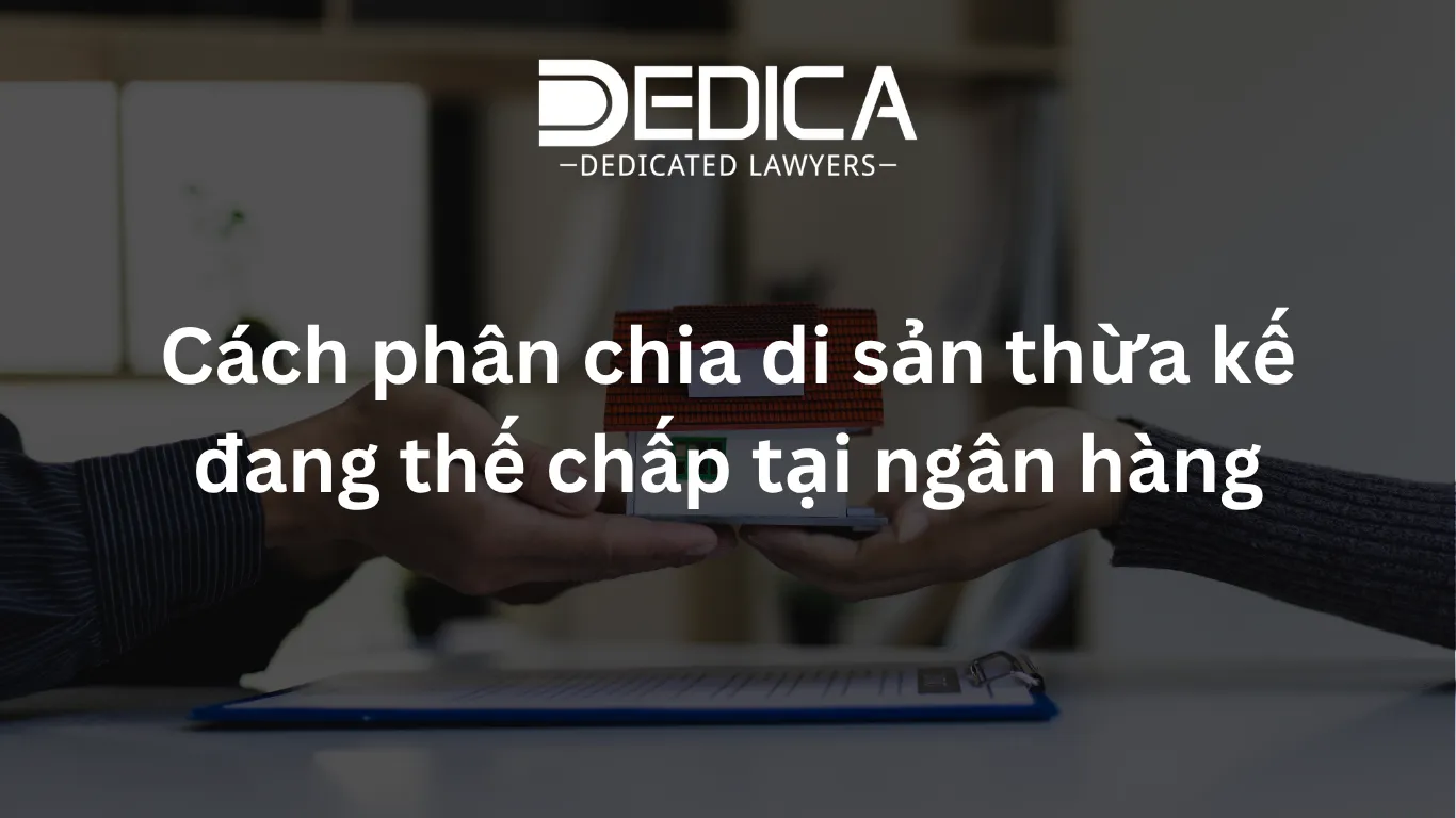 ảnh website dedica - 2026-05-27T145854.675.webp