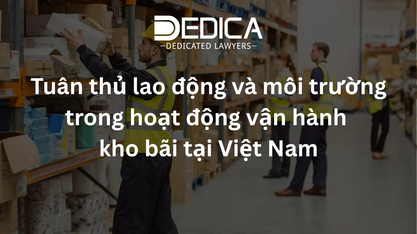 ảnh website dedica - 2026-06-02T142102.908.webp