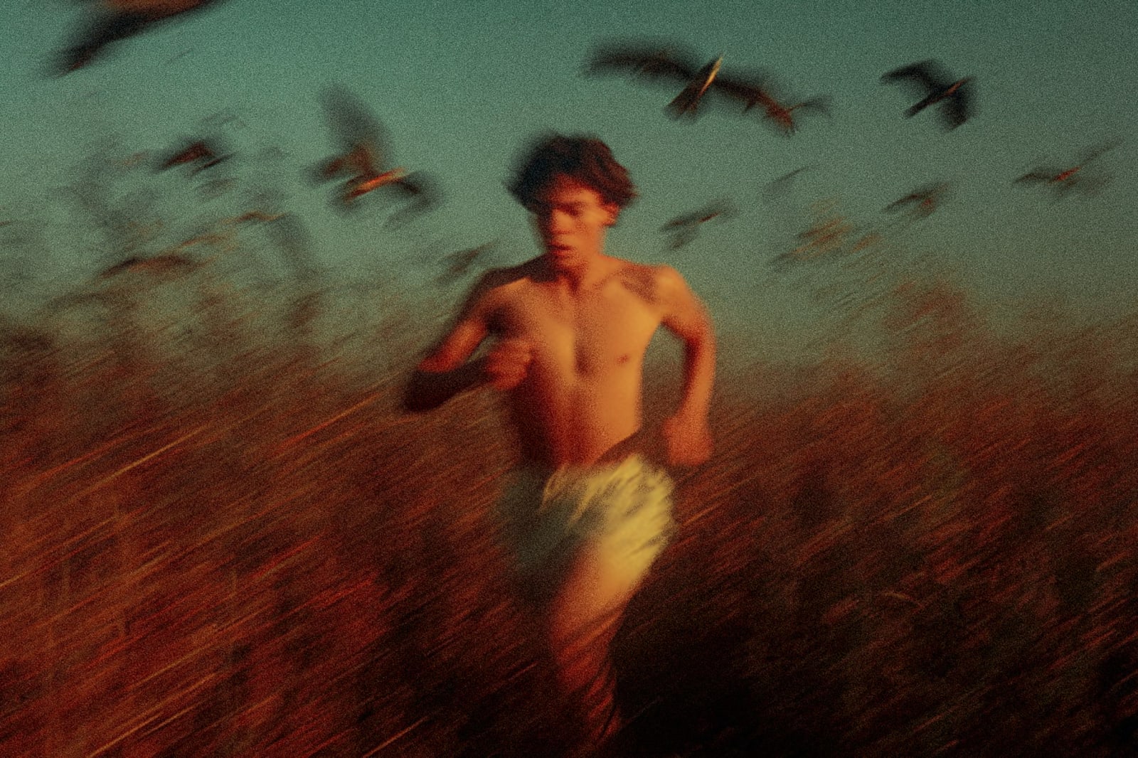 A shirtless person running through a field with birds flying overhead.