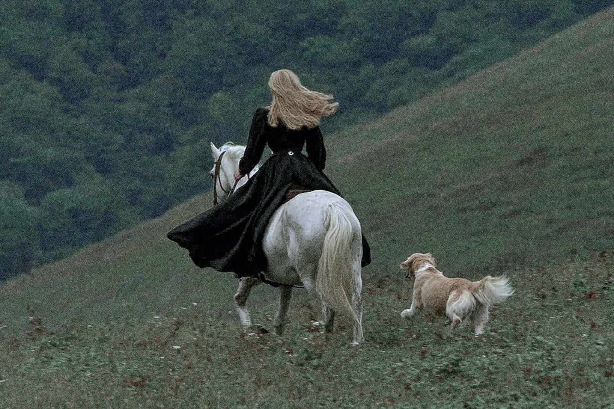 Riding the Wild: a Horse and Dog Adventure | GYO