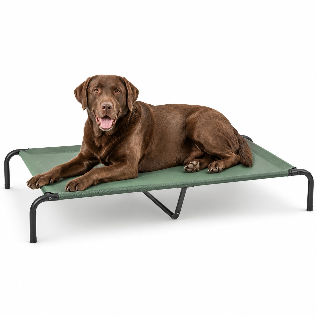 CoolBreeze Elevated Mesh Dog Cot