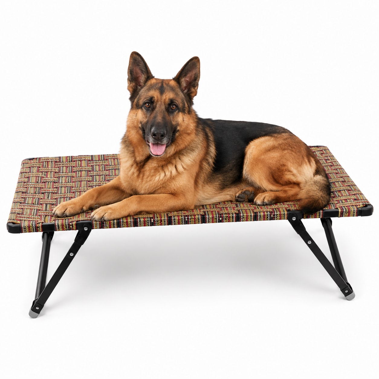 FlexRest Folding Elevated Dog Cot