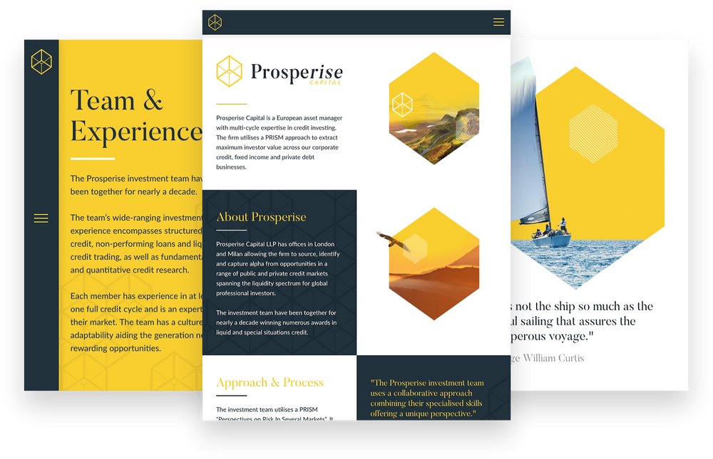 Prosperise Capital Page Examples
