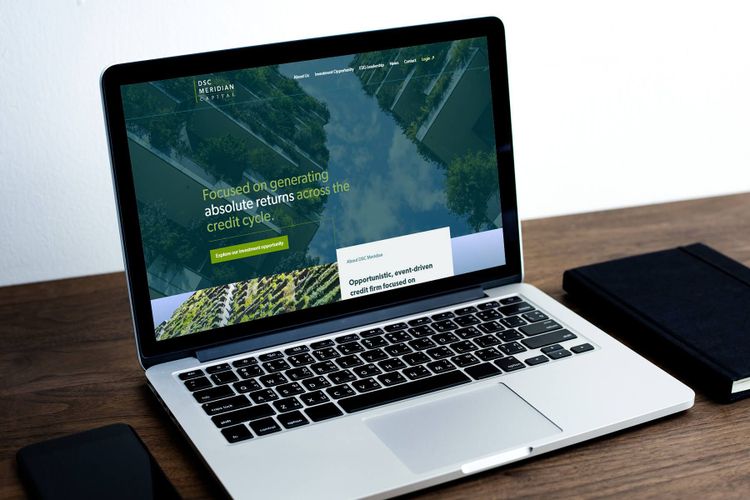DSC Meridian Website live shot