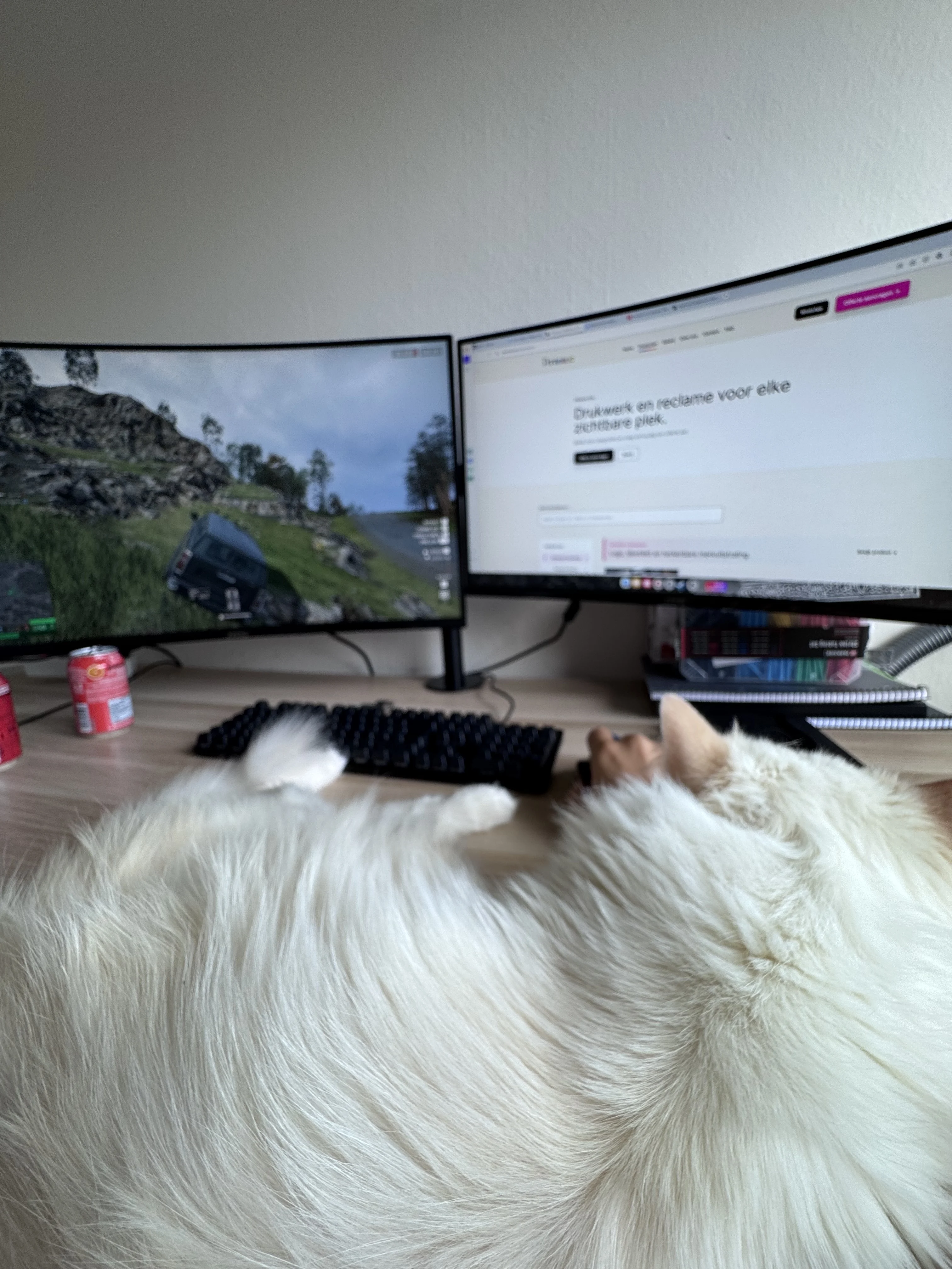 Xps – foto 3