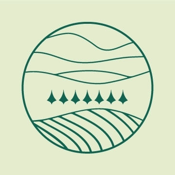 vector