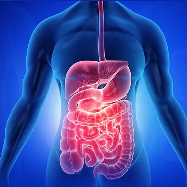 Gastroenterology.webp