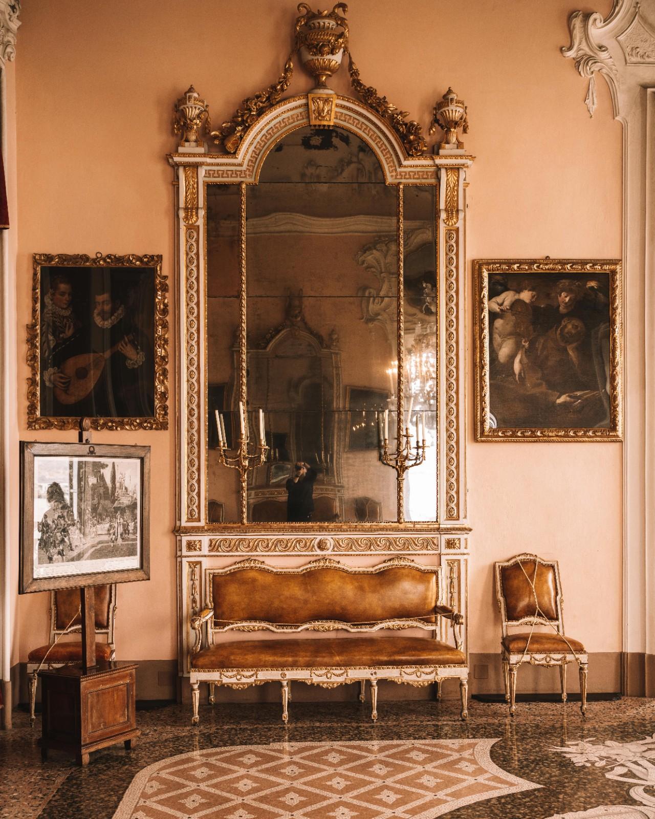 Luxury interior design - elegant living space with plants and premium furnishings