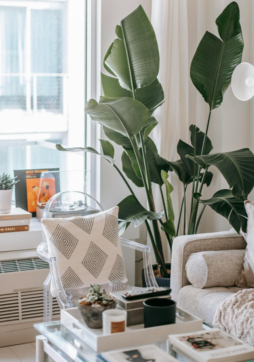 Modern interior with white furniture and plants