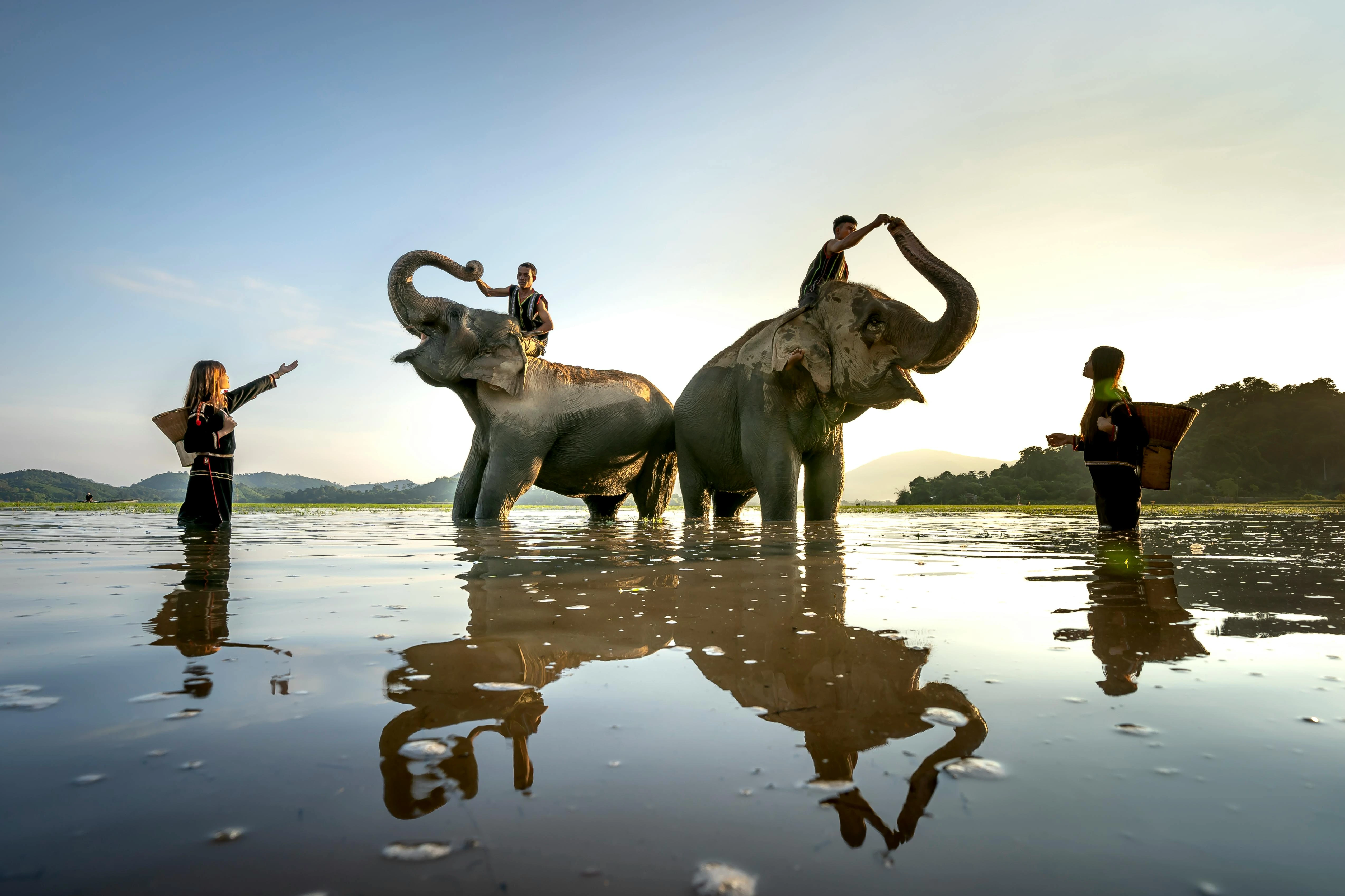 travellers having an unforgattable elephant tour experience