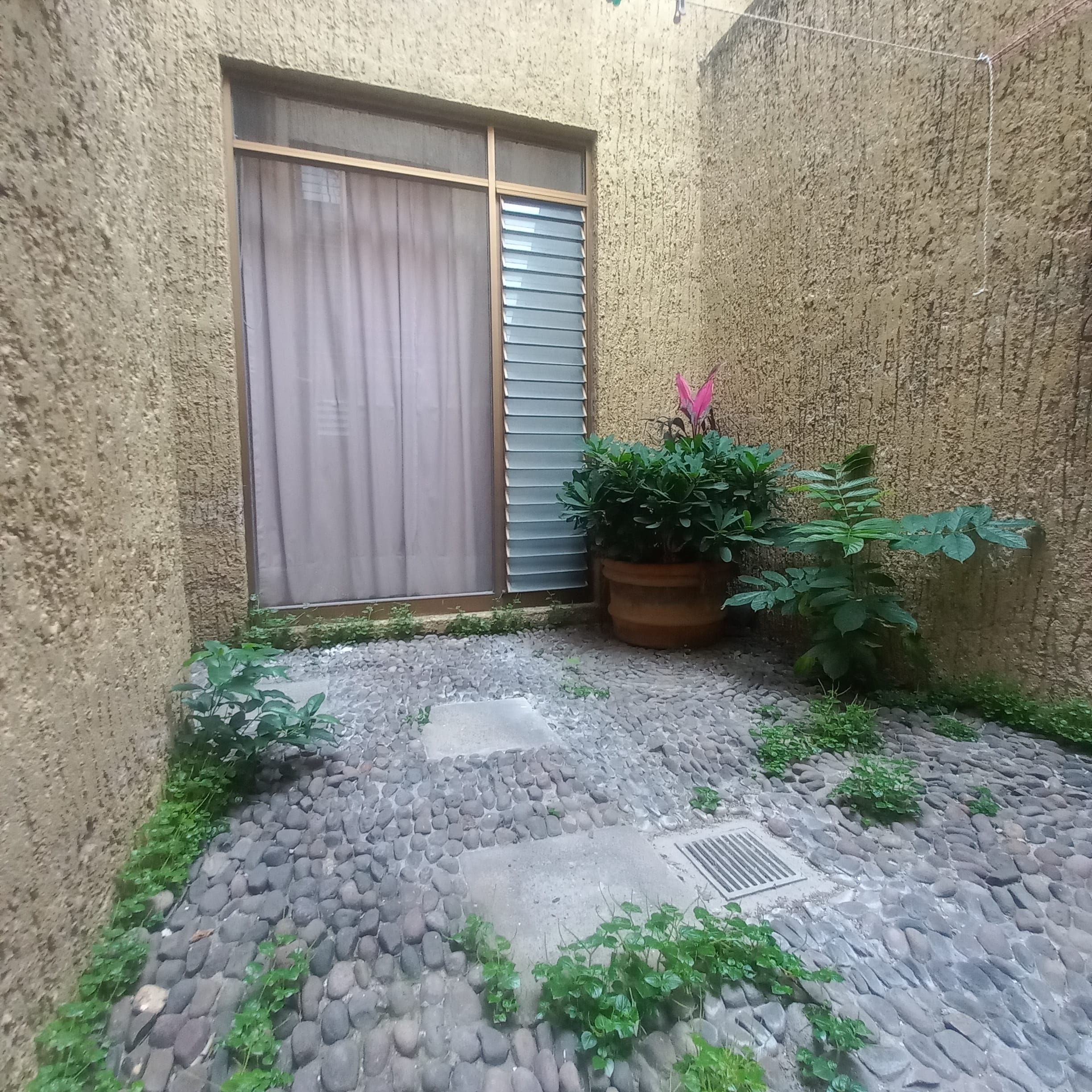0069-RCV - AMPLÍSIMA CASA, CHAPULTEPEC COUNTRY, GUADALAJARA - Miniatura 3