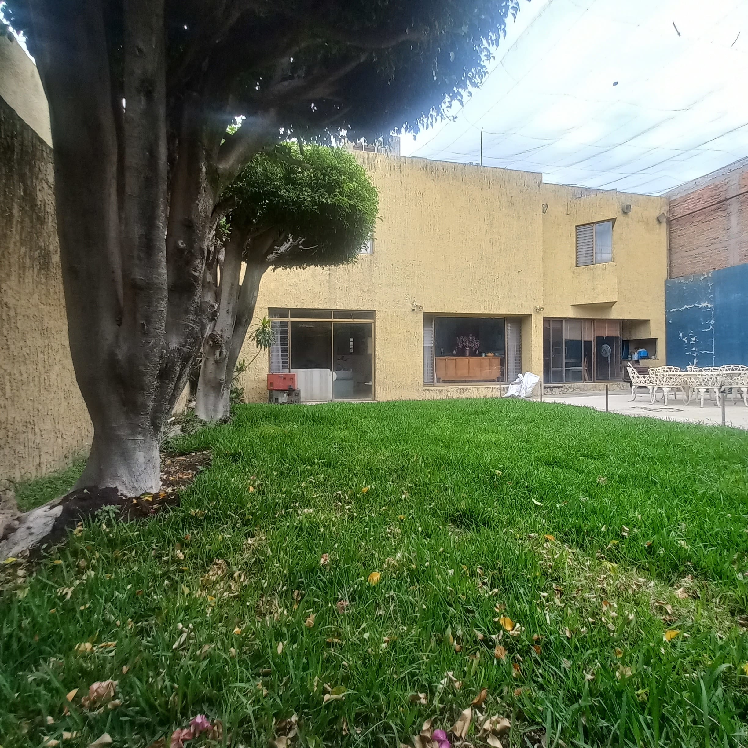 0069-RCV - AMPLÍSIMA CASA, CHAPULTEPEC COUNTRY, GUADALAJARA - Miniatura 11