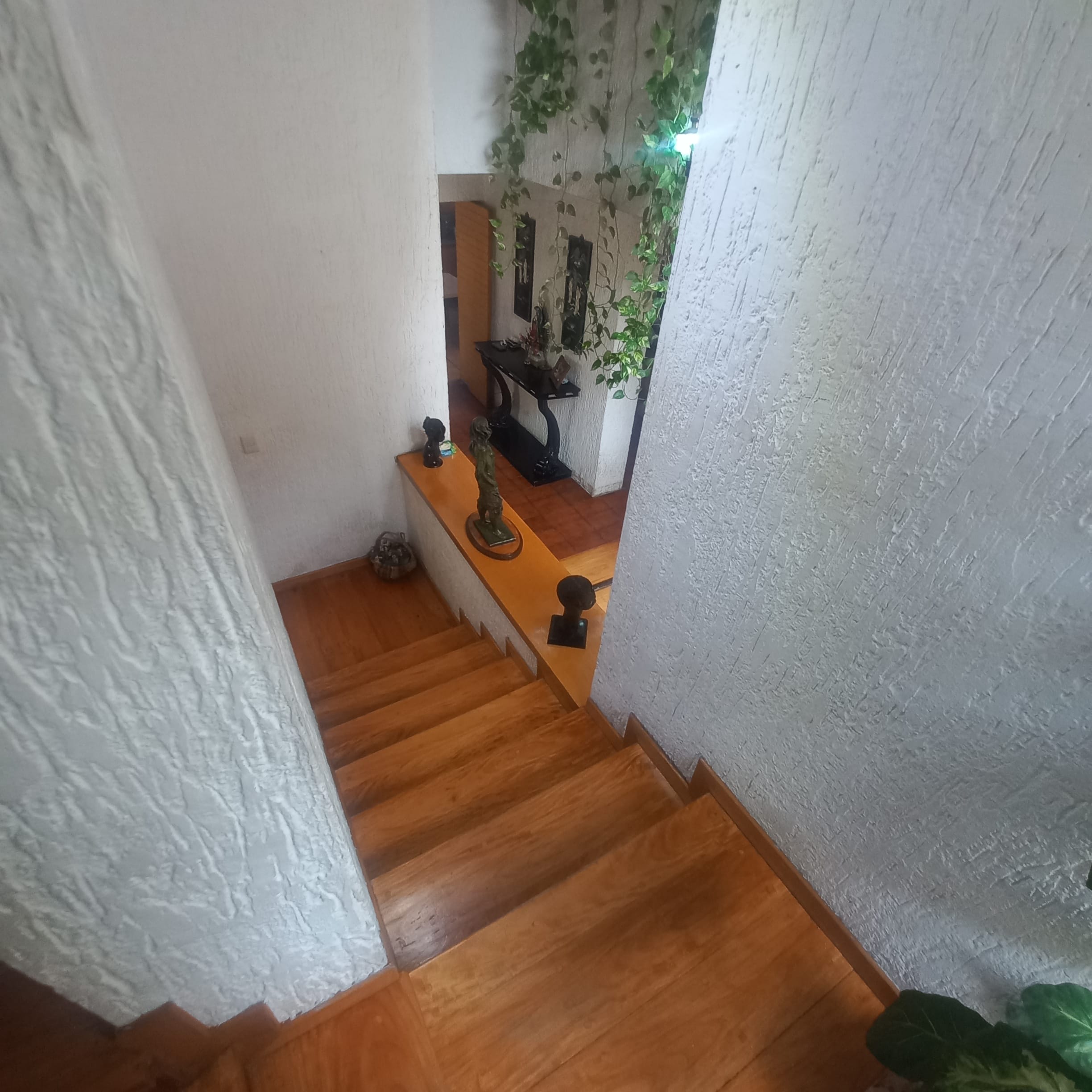 0069-RCV - AMPLÍSIMA CASA, CHAPULTEPEC COUNTRY, GUADALAJARA - Miniatura 14