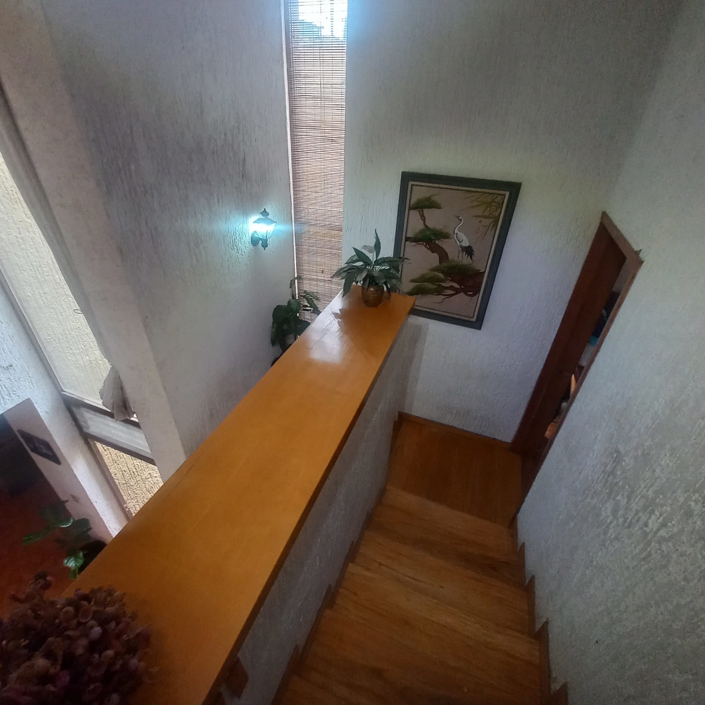 0069-RCV - AMPLÍSIMA CASA, CHAPULTEPEC COUNTRY, GUADALAJARA - Miniatura 15
