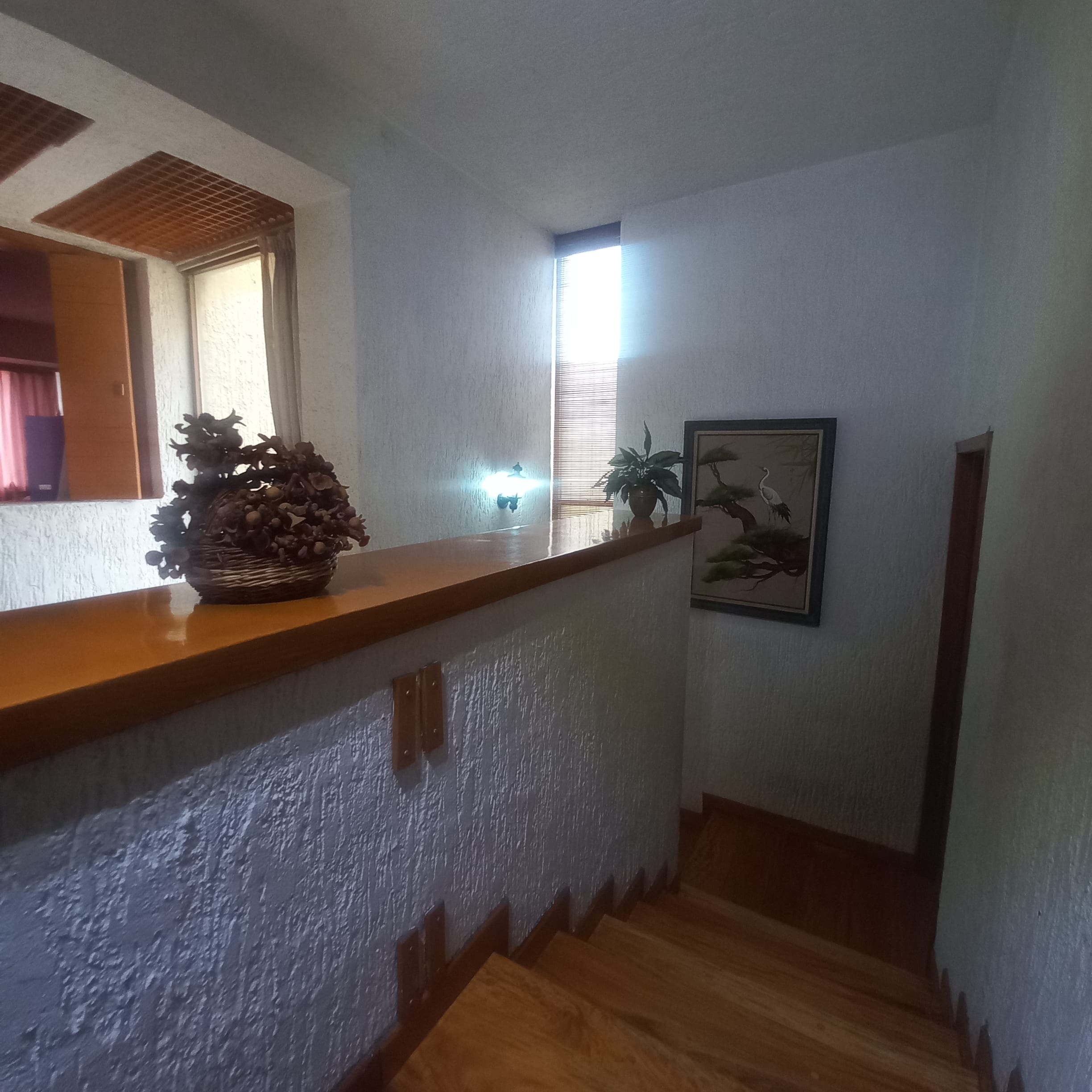 0069-RCV - AMPLÍSIMA CASA, CHAPULTEPEC COUNTRY, GUADALAJARA - Miniatura 18