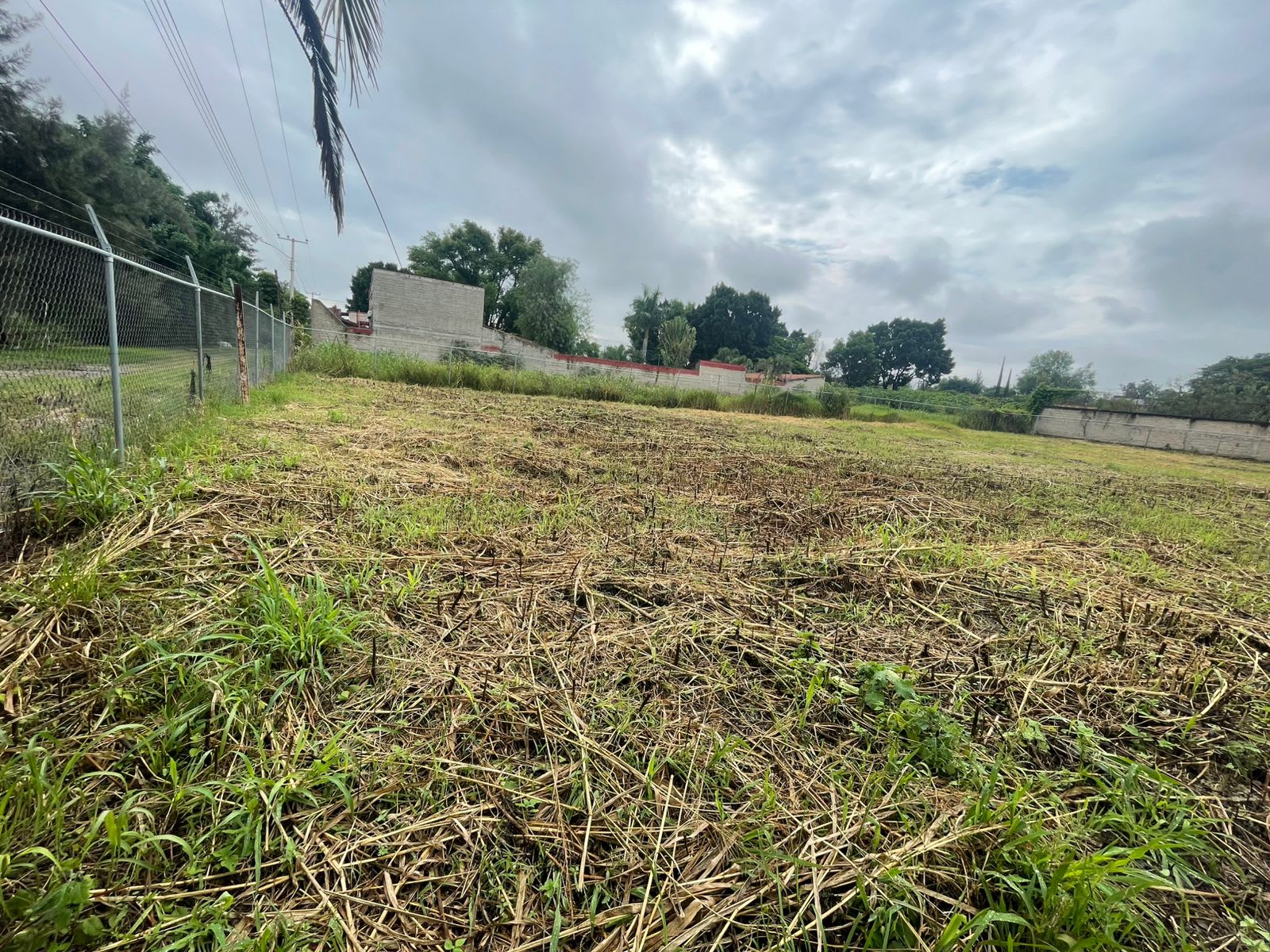 0187-RTV - TERRENO EN VENTA, Fraccionamiento Los Sauces segunda sección, Tlajomulco de Zúñiga - Miniatura 4