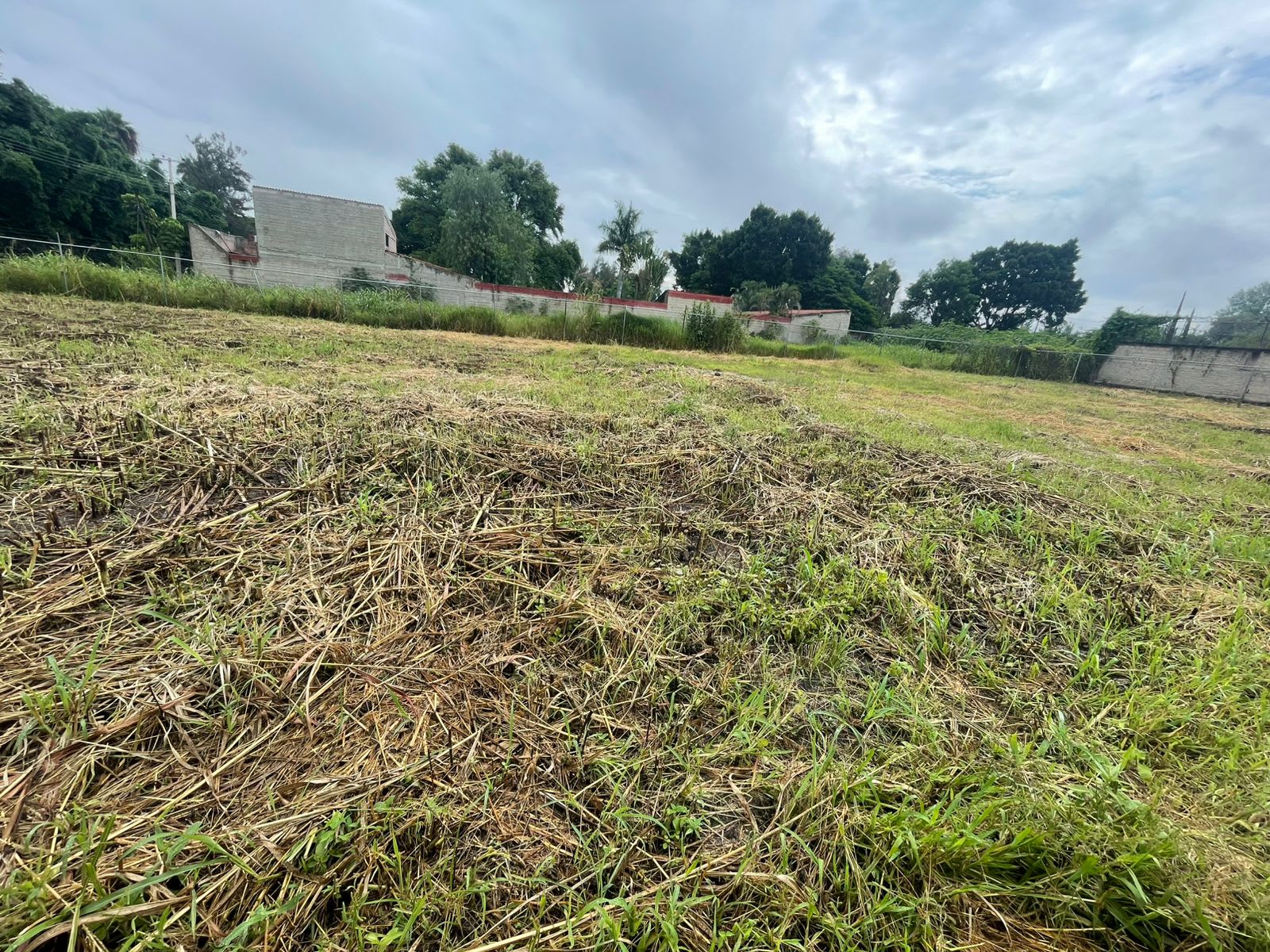 0187-RTV - TERRENO EN VENTA, Fraccionamiento Los Sauces segunda sección, Tlajomulco de Zúñiga - Miniatura 6